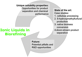 Graphical abstract: Ionic liquids in the biorefinery: a critical assessment of their potential
