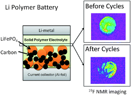 Graphical abstract: Factors affecting cyclic durability of all-solid-state lithium polymer batteries using poly(ethylene oxide)-based solid polymer electrolytes