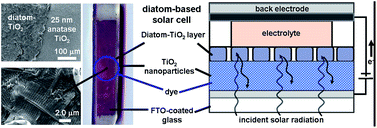 Graphical abstract: The potential of diatom nanobiotechnology for applications in solar cells, batteries, and electroluminescent devices