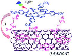 Graphical abstract: Photoinduced processes of the supramolecularly functionalized semi-conductive SWCNTs with porphyrinsvia ion-pairing interactions