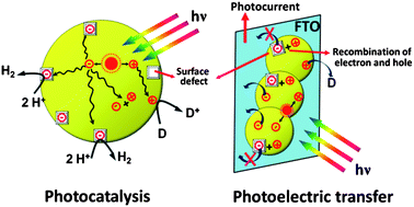 Graphical abstract: The roles of defect states in photoelectric and photocatalytic processes for ZnxCd1−xS