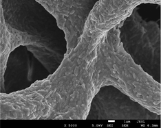 Graphical abstract: Electrospun and solution blown three-dimensional carbon fiber nonwovens for application as electrodes in microbial fuel cells
