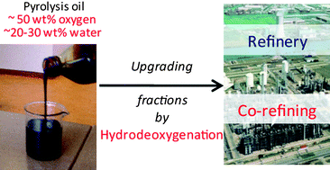 Graphical abstract: Hydrodeoxygenation of pyrolysis oil fractions: process understanding and quality assessment through co-processing in refinery units