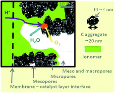 Graphical abstract: Hydrocarbon proton conducting polymers for fuel cell catalyst layers