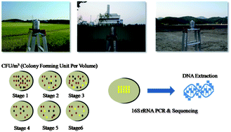 Graphical abstract: Size-resolved culturable airborne bacteria sampled in rice field, sanitary landfill, and waste incineration sites