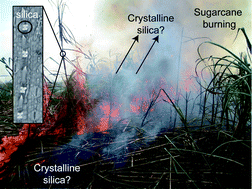 Graphical abstract: Generation of crystalline silica from sugarcane burning