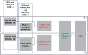Graphical abstract: Advantages of toxicokinetic and toxicodynamic modelling in aquatic ecotoxicology and risk assessment