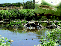 Graphical abstract: Integrated survey of water pollution in the Suquía River basin (Córdoba, Argentina)