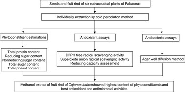 Graphical abstract: Antioxidative and antibacterial effects of seeds and fruit rind of nutraceutical plants belonging to the Fabaceae family