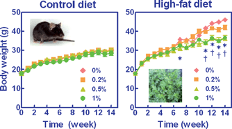 Graphical abstract: Anti-obesity and anti-diabetic effects of ethanol extract of Artemisia princeps in C57BL/6 mice fed a high-fat diet