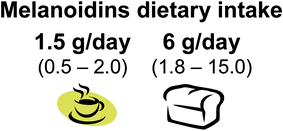 Graphical abstract: Estimation of dietary intake of melanoidins from coffee and bread
