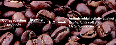 Graphical abstract: Identification of H2O2 as a major antimicrobial component in coffee