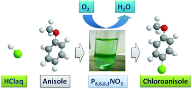 Graphical abstract: Phosphonium nitrate ionic liquid catalysed electrophilic aromatic oxychlorination