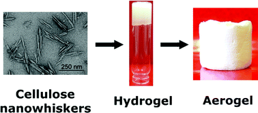 Graphical abstract: Cellulose nanowhisker aerogels