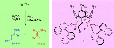 Graphical abstract: Calix[4]arene-diphosphite rhodium complexes in solvent-free hydroaminovinylation of olefins
