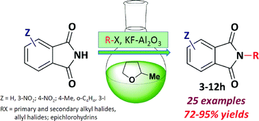 Graphical abstract: 2-Methyltetrahydrofuran as a suitable green solvent for phthalimide functionalization promoted by supported KF