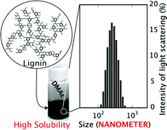 Graphical abstract: Polyfunctional nanometric particles obtained from lignin, a woody biomass resource