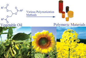 Graphical abstract: Vegetable oil-based polymeric materials: synthesis, properties, and applications