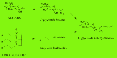 Graphical abstract: Preparation of saturated and unsaturated fatty acid hydrazides and long chain C-glycoside ketohydrazones