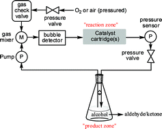 Graphical abstract: Catalysis in flow: the practical and selective aerobic oxidation of alcohols to aldehydes and ketones