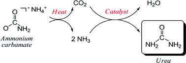 Graphical abstract: From greenhouse gas to feedstock: formation of ammonium carbamate from CO2 and NH3 in organic solvents and its catalytic conversion into urea under mild conditions