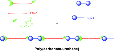 Graphical abstract: Poly(carbonate-urethane): an isocyanate-free procedure from α,ω-di(cyclic carbonate) telechelic poly(trimethylene carbonate)s