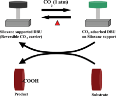 Graphical abstract: Ambient carboxylation on a supported reversible CO2 carrier: ketone to β-keto ester