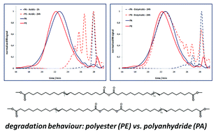 Graphical abstract: Thiol-enevs.ADMET: a complementary approach to fatty acid-based biodegradable polymers