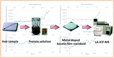 Graphical abstract: Metal doped keratin film standard for LA-ICP-MS determination of lead in hair samples