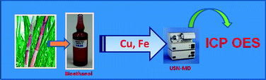 Graphical abstract: Determination of Cu and Fe in fuel ethanol by ICP OES using direct sample introduction by an ultrasonic nebulizer and membrane desolvator