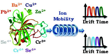 Graphical abstract: Ion mobility mass spectrometry: an elegant alternative focusing on speciation studies
