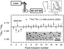 Graphical abstract: Quantification of transient signals in multiple collector inductively coupled plasma mass spectrometry: accurate lead isotope ratio determination by laser ablation of individual fluid inclusions