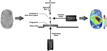 Graphical abstract: Analysis of explosive residues in human fingerprints using optical catapulting–laser-induced breakdown spectroscopy