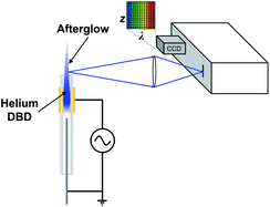 Graphical abstract: Spectroscopic plasma diagnostics on a low-temperature plasma probe for ambient mass spectrometry