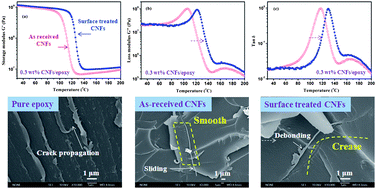 Graphical abstract: In situ stabilized carbon nanofiber (CNF) reinforced epoxy nanocomposites
