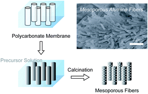 Graphical abstract: General synthesis of fibrous mesoporous metal oxides in polycarbonate membrane