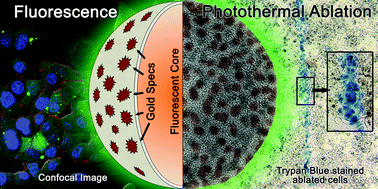 Graphical abstract: Near-infrared absorbing and luminescent gold speckled silica nanoparticles for photothermal therapy