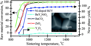 Graphical abstract: Solid-state reactive sintering mechanism for large-grained yttrium-doped barium zirconate proton conducting ceramics