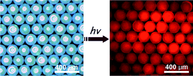 Graphical abstract: Uniform fluorescent photonic crystal supraballs generated from nanocrystal-loaded hydrogel microspheres