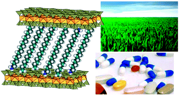 Graphical abstract: Hybrid materials based on clays for environmental and biomedical applications