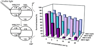 Graphical abstract: Visible light photo-induced antibacterial activity of CNT–doped TiO2 thin films with various CNT contents