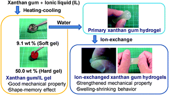 Graphical abstract: Preparation and characterizations of functional ionic liquid-gel and hydrogel materials of xanthan gum