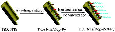 Graphical abstract: Towards chemically bonded p–n heterojunctions through surface initiated electrodeposition of p-type conducting polymer inside TiO2 nanotubes