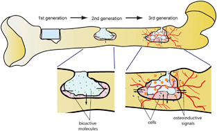 Graphical abstract: Development of bone substitute materials: from ‘biocompatible’ to ‘instructive’