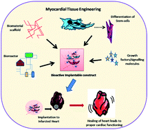 Graphical abstract: Multimodal biomaterial strategies for regeneration of infarcted myocardium
