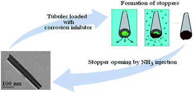 Graphical abstract: Clay nanotubes for corrosion inhibitor encapsulation: release control with end stoppers
