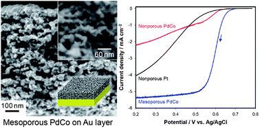 Graphical abstract: Mesoporous PdCo sponge-like nanostructure synthesized by electrodeposition and dealloying for oxygen reduction reaction