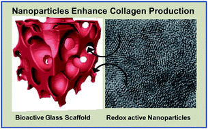 Graphical abstract: Rare earth oxides as nanoadditives in 3-D nanocomposite scaffolds for bone regeneration