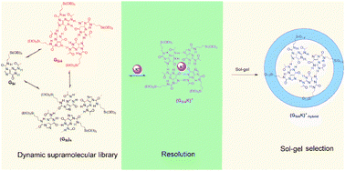 Graphical abstract: Sol–gel selection of hybrid G-quadruplex architectures from dynamic supramolecular guanosine libraries