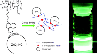 Graphical abstract: Highly stabilized luminescent polymer nanocomposites: fluorescence emission from metal quinolate complexes with inorganic nanocrystals